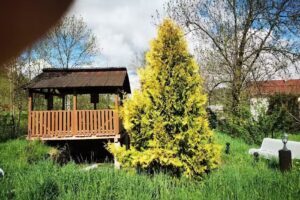 Pensiunea Lacrima Izei