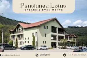 Lotus Guesthouse
