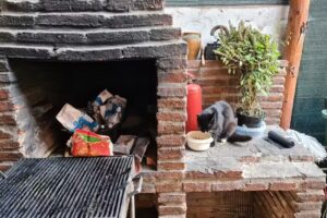 Melinda Vend&eacute;gh&aacute;z