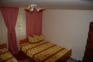 PENSIUNEA OANA ARIESENI