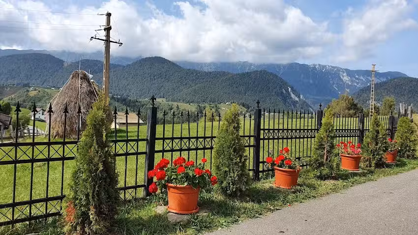 La maison d&rsquo;h&ocirc;tes Cave