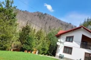 Къща за гости Петреску
