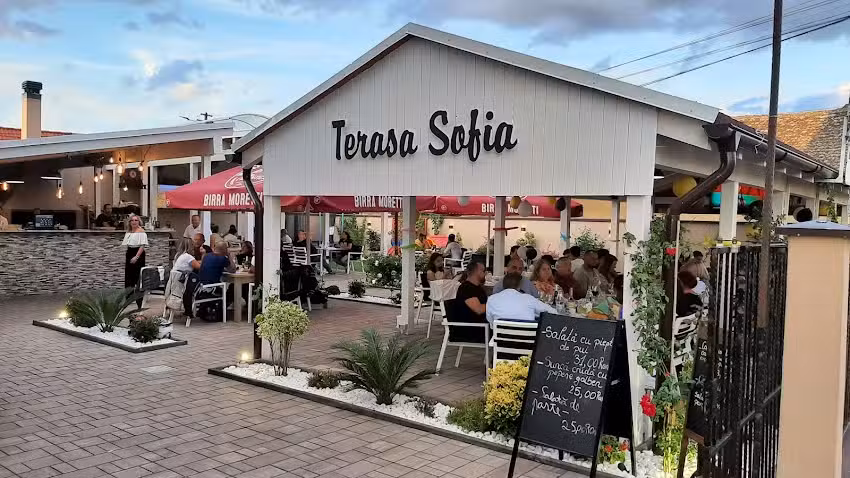 Pensiunea Sofia Pecica