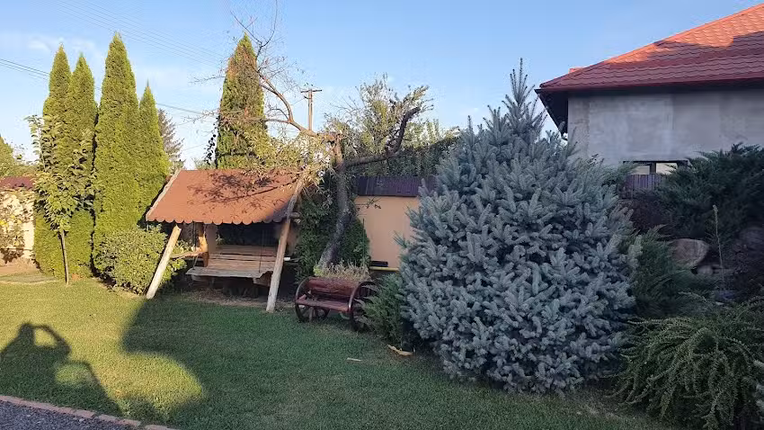 Pensiunea Șoimul