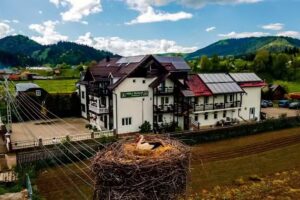 Бисер дрвећа