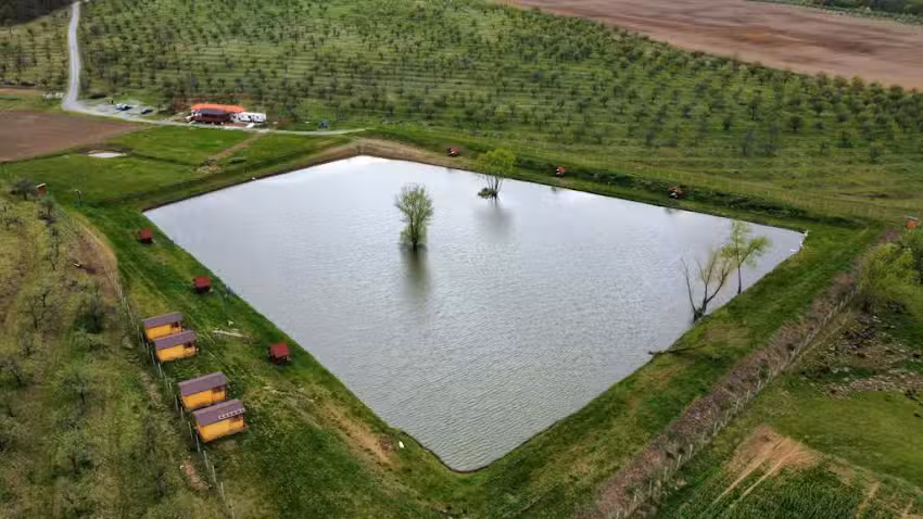 JOLTA Hal&aacute;szat