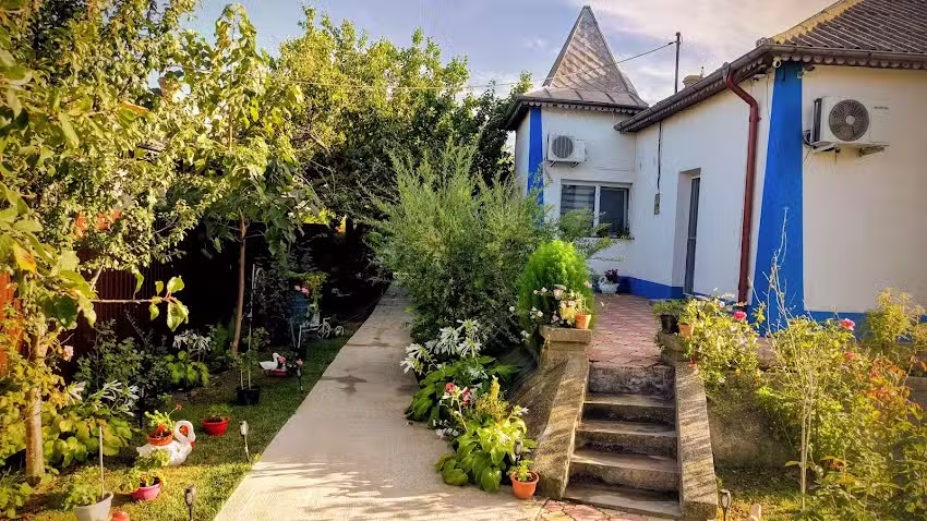 Албатрос чайка