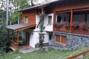 Chalet Pintea