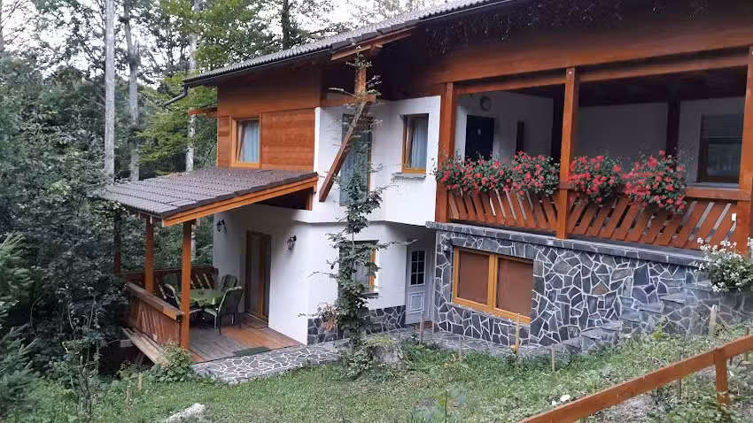 Chalet Pintea