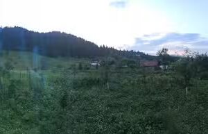 Макаријева клисура