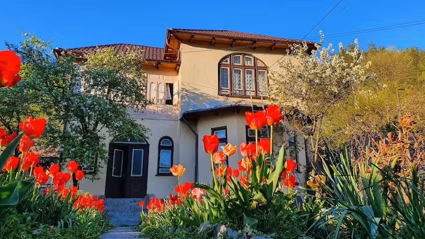 Раду Грегори