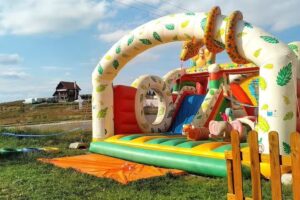 Рафаел Цхалет &ndash; Смештај Палтинис