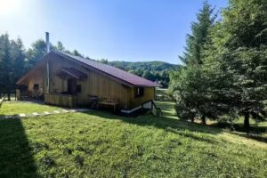 Сирова природа