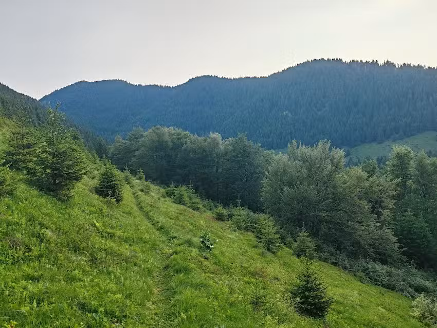 Планински спасителен заслон Видрени