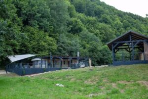 Wohnwagen am Flussufer