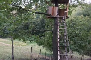 Fattoria RoseHipHill