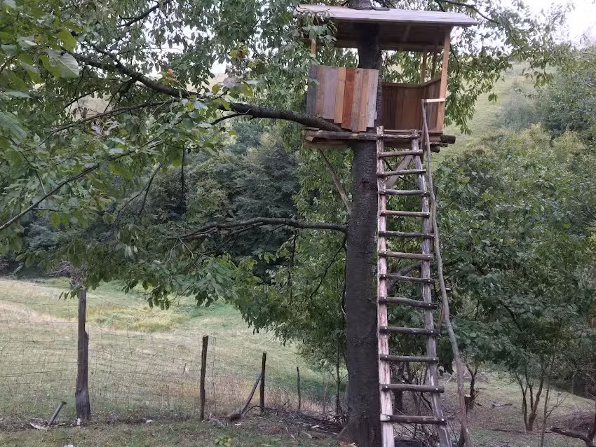 Fattoria RoseHipHill