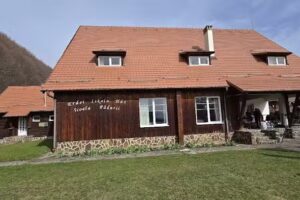 Zaubertrank-Waldschule