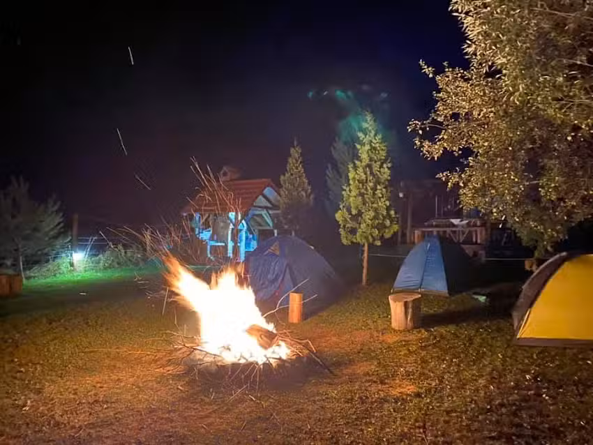 Себестијан Норберт II