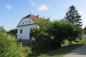 Siculus Panzi&oacute;