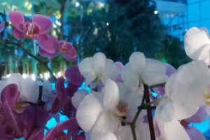 L’accogliente casa di Stella