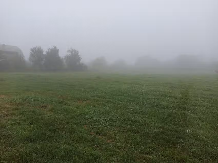 Strada Bisericii 106