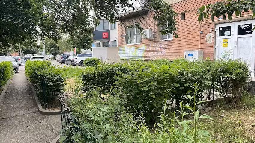 Studio Comfort Rovine