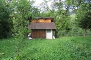 Планинското пчеларство