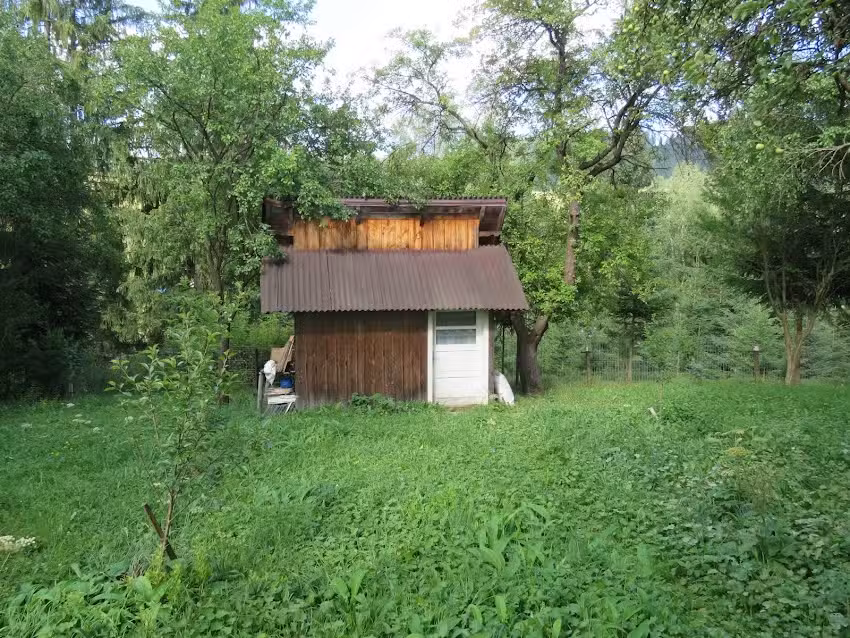 L&rsquo;apiculture en montagne