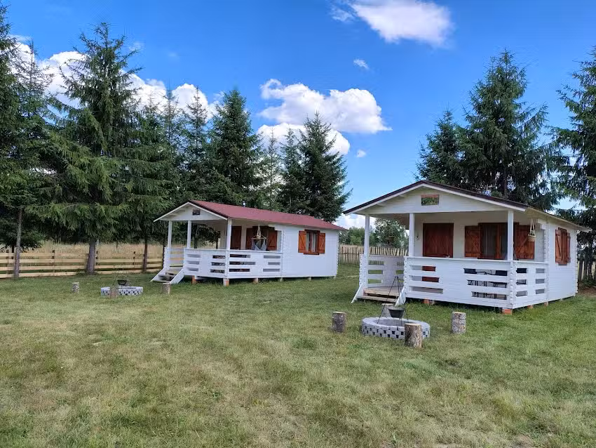 Сашок Табора