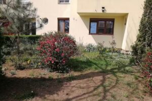 Timișoara &ndash; Apartament &ndash; Regim Hotelier