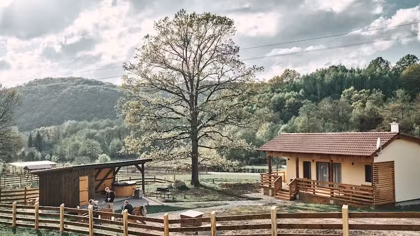 Transsilvanien Waldparadies