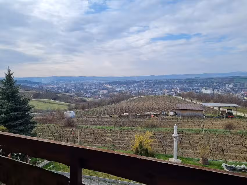 Siebenb&uuml;rgenischer Wein