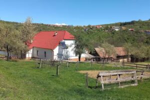 Настаняване в Капичуп