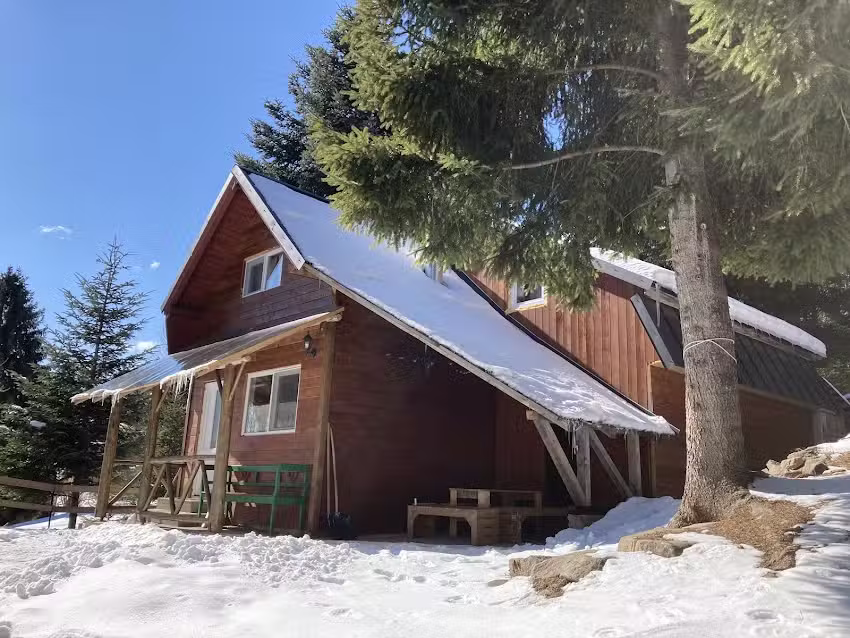 Altes Kiefernh&auml;uschen