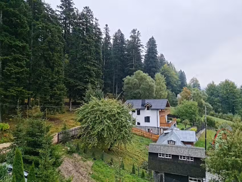 Вила Алунис