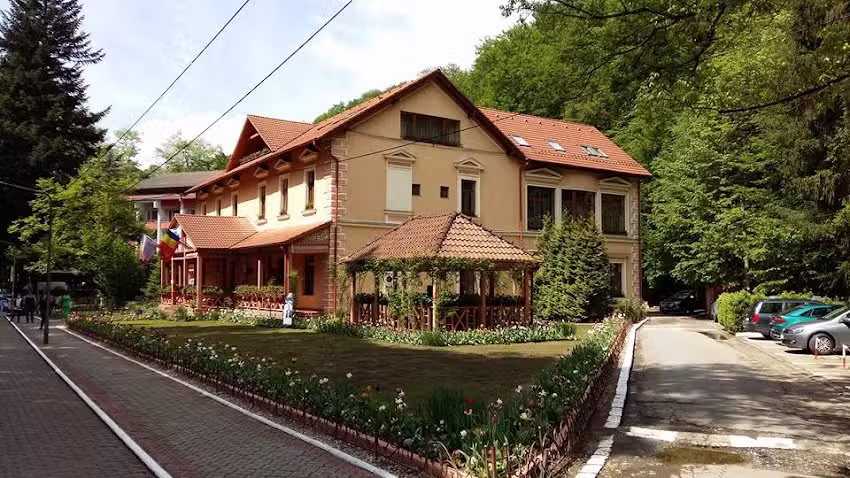 Vila Cerbul Albastru