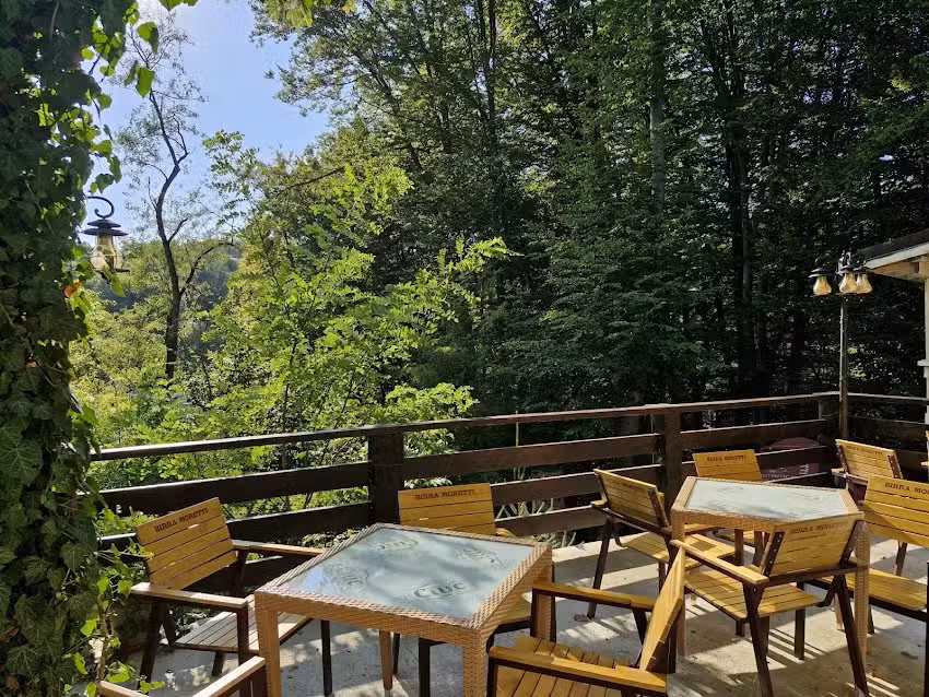 Вила Хризантема