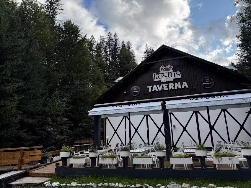 Сребрна вила