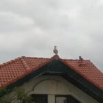 Vila Denisa