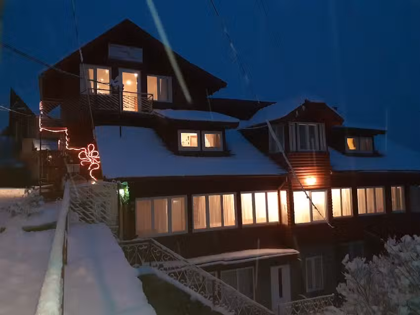 Il fiore del fiordaliso