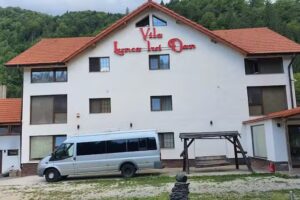 Villa Meadow di Dan Voineasa