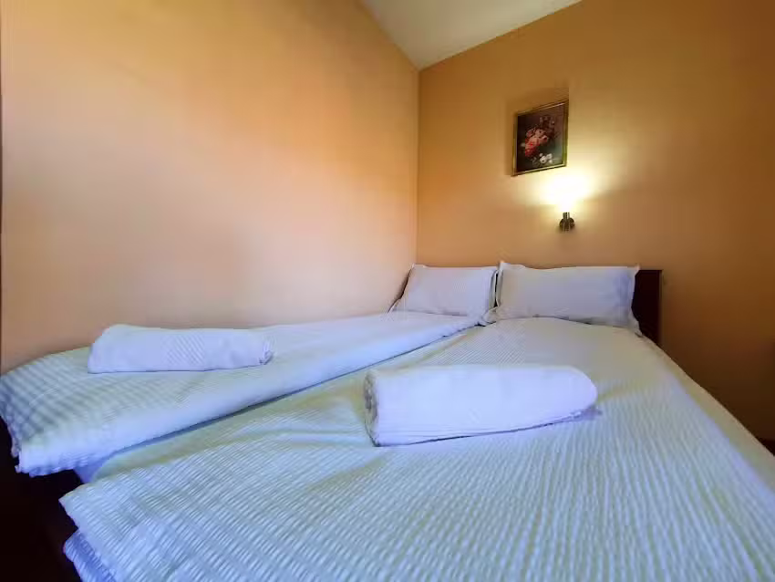 Vir&aacute;g Panzi&oacute;