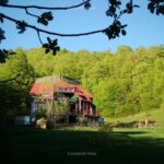 Vis de Munte
