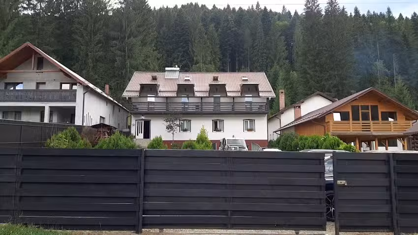 Visul Bucovinei