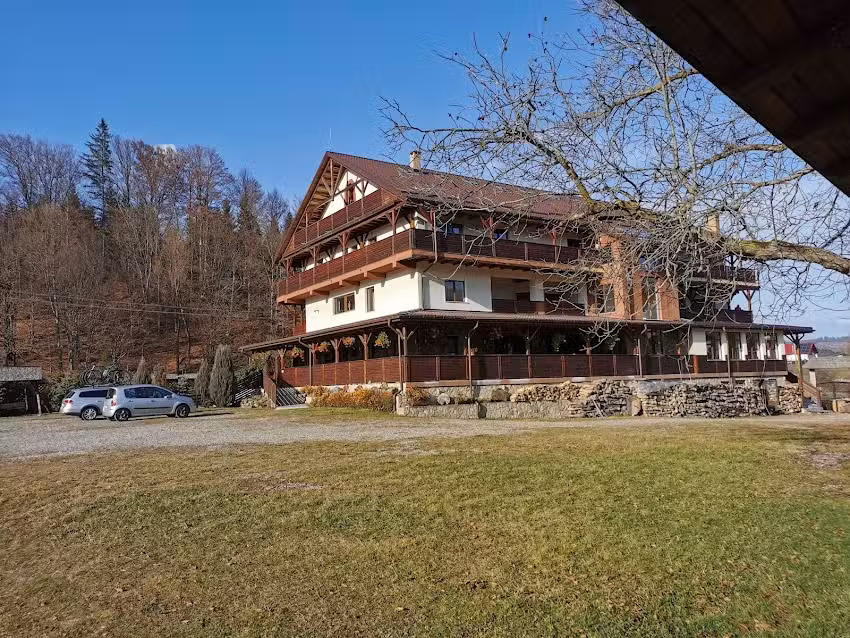 Виторија Липан