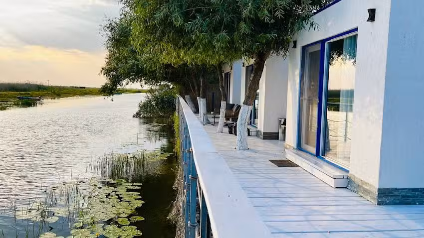 Oasi del luccio selvatico