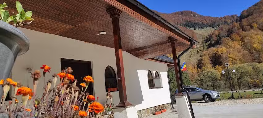 ZEN SPOT Satic